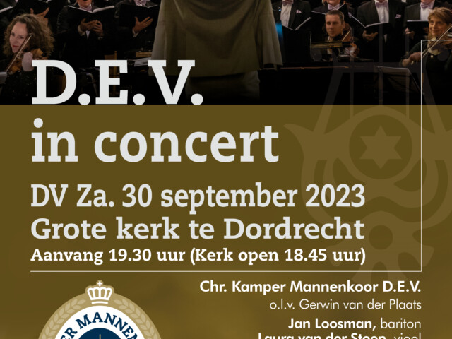 D.E.V. in concert