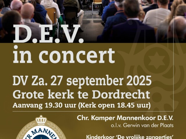 D.E.V. in Concert